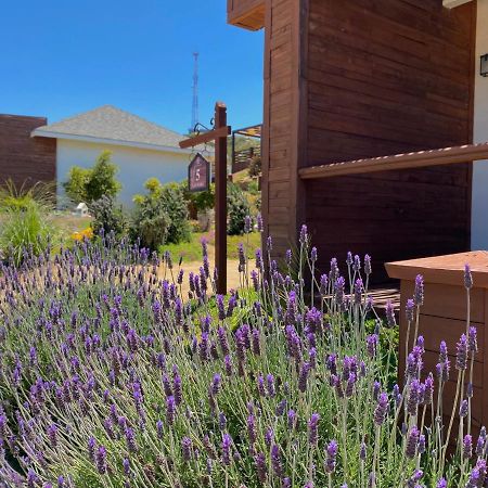 Entrevalle Hotel Boutique Valle de Guadalupe Eksteriør bilde