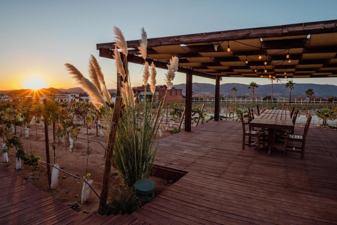 Entrevalle Hotel Boutique Valle de Guadalupe Eksteriør bilde