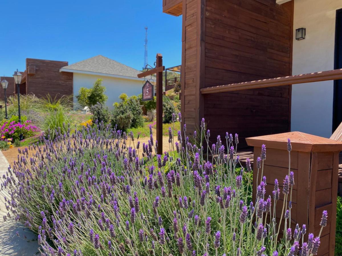 Entrevalle Hotel Boutique Valle de Guadalupe Eksteriør bilde